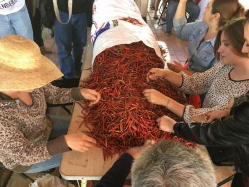 16 things which can only be produced in Mexico