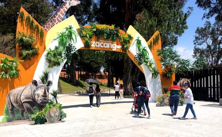 Cuánto cuesta la entrada al Zoológico de Zacango en verano