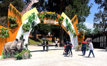 Cuánto cuesta el boleto para el Zoológico de Zacango en Edomex 