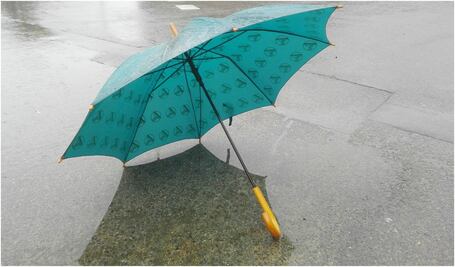 ¿Va a llover hoy? Google Allo te ayuda a ganarle a las lluvias