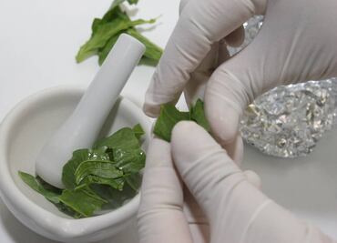 Piden a Conacyt que restituya a la biotecnología en el reglamento del SNI