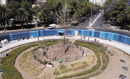 El retiro del ahuehuete de Reforma, la caída de Instagram y el concierto de Tame Impala, entre los memes de la semana