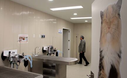 Sedema anuncia reapertura de Hospital Veterinario Iztapalapa