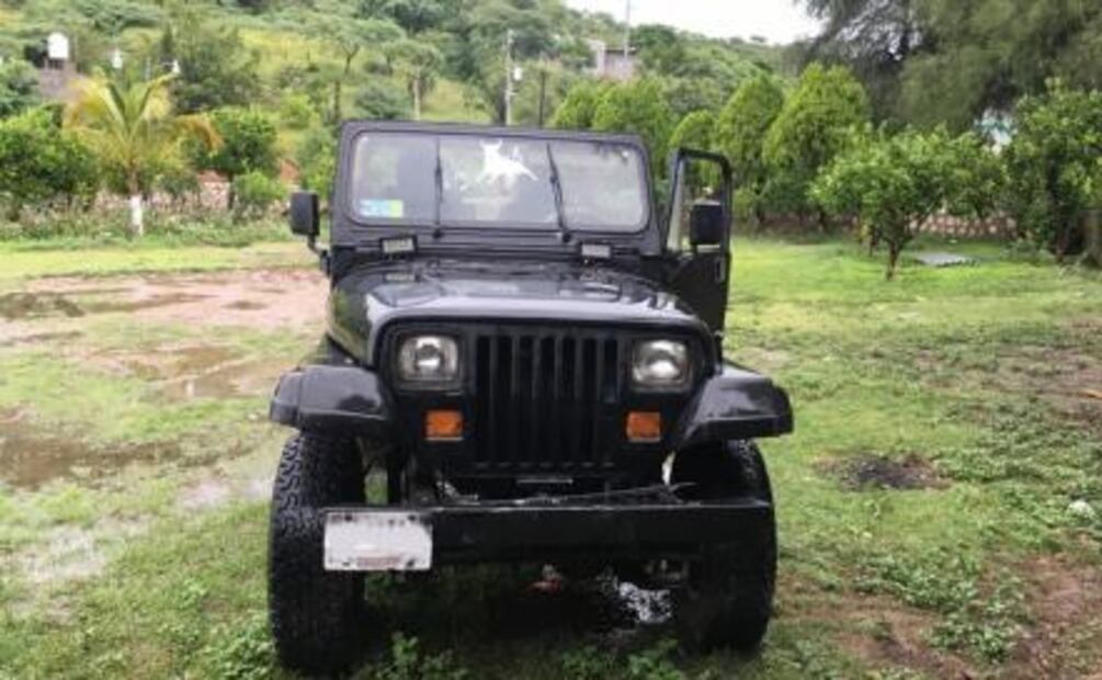Aseguran caballos pura sangre en rancho de presunto líder de "Los Rojos" en Puebla