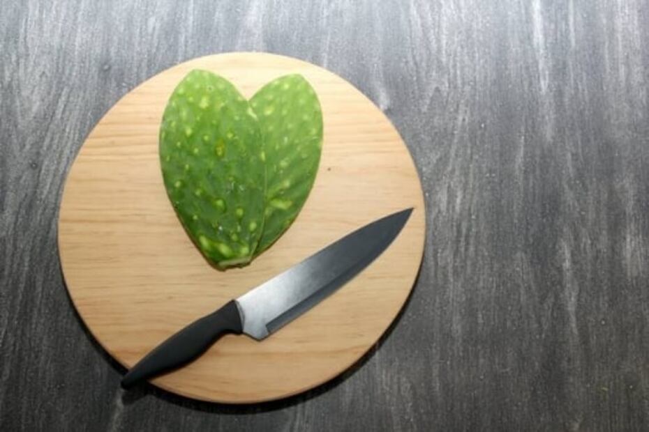 ¿Cómo comer nopales crudos?, disfruta de su textura y color verde esmeralda