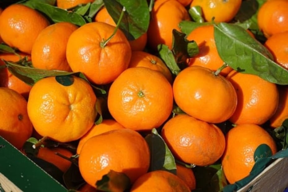 Cuántas mandarinas se pueden comer al día