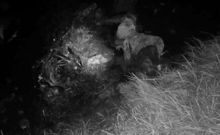 Encuentran 3 cadáveres en completo estado de putrefacción en Edomex