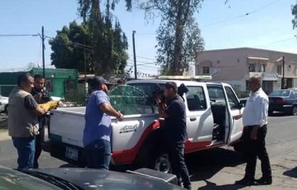 Profepa atiende a pelícanos por “golpe de calor” en BC