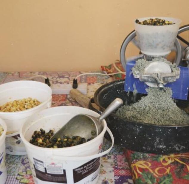 Unión de sabores yaquis y purépechas