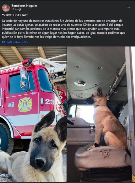 Piden apoyo para encontrar a perro bombero robado de una estación en Nogales, Sonora