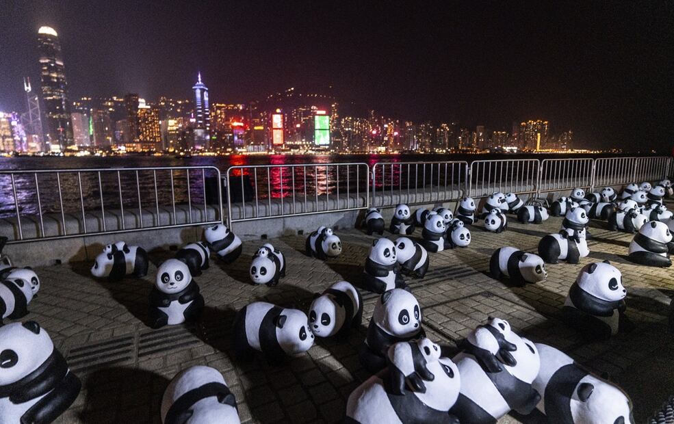 Esculturas de pandas se exhiben en la costa del puerto Victoria durante el espectáculo de drones con temática de pandas en Hong Kong. Foto: AP