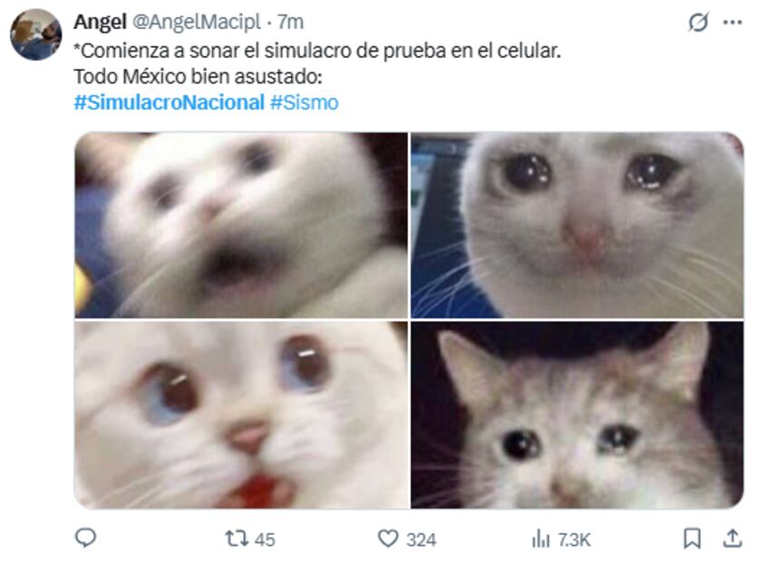 Memes. Foto: Captura de pantalla X