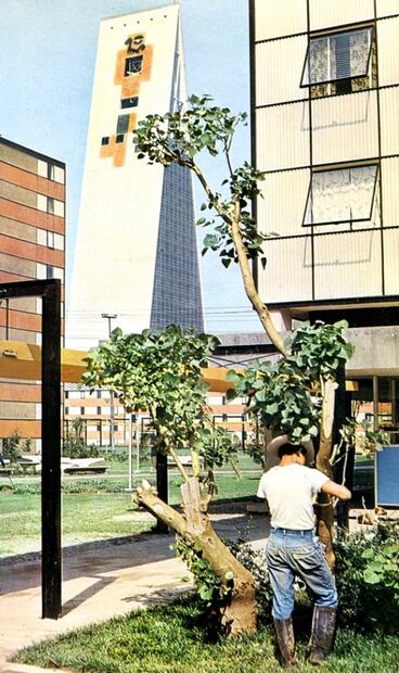 Así surgió la singular torre de Tlatelolco y sus 47 campanas