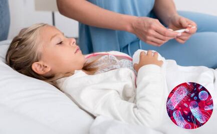 Reportan 14 casos de intoxicación infantil grave por e-coli en Francia; una menor falleció