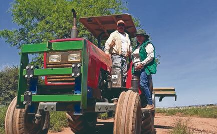 El reto de reactivar la producción y comercialización del frijol