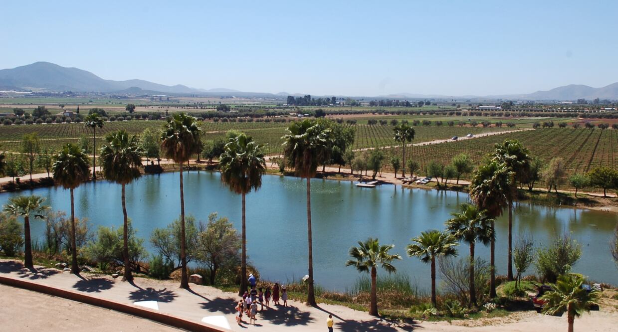 Foto: Raquel del Castillo