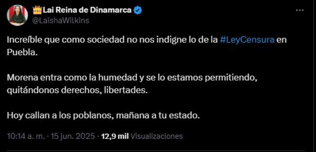 Laisha Wilkins se pronuncia contra la llamada ‘Ley de Ciberseguridad’ en Puebla. Foto: Captura de pantalla