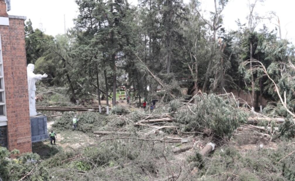 Por tormenta, caen más de 150 árboles en el Seminario Diocesano de Toluca