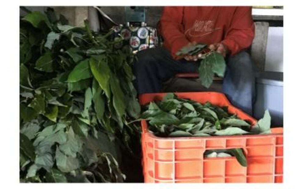 Barbacoa en Zaachila