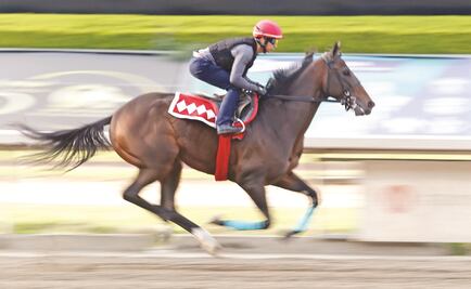 ¿El Kremlin en Las Américas?