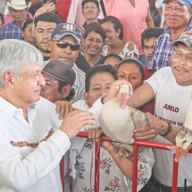 Peculiar regalo. En Candelaria, dos simpatizantes de Morena entregaron al Presidente dos gansos. GERMÁN ESPINOSA. EL UNIVERSAL