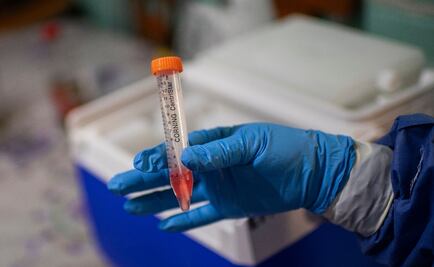 Coronavirus-hit Mexico receives 100,000 COVID-19 test kits donated by Germany