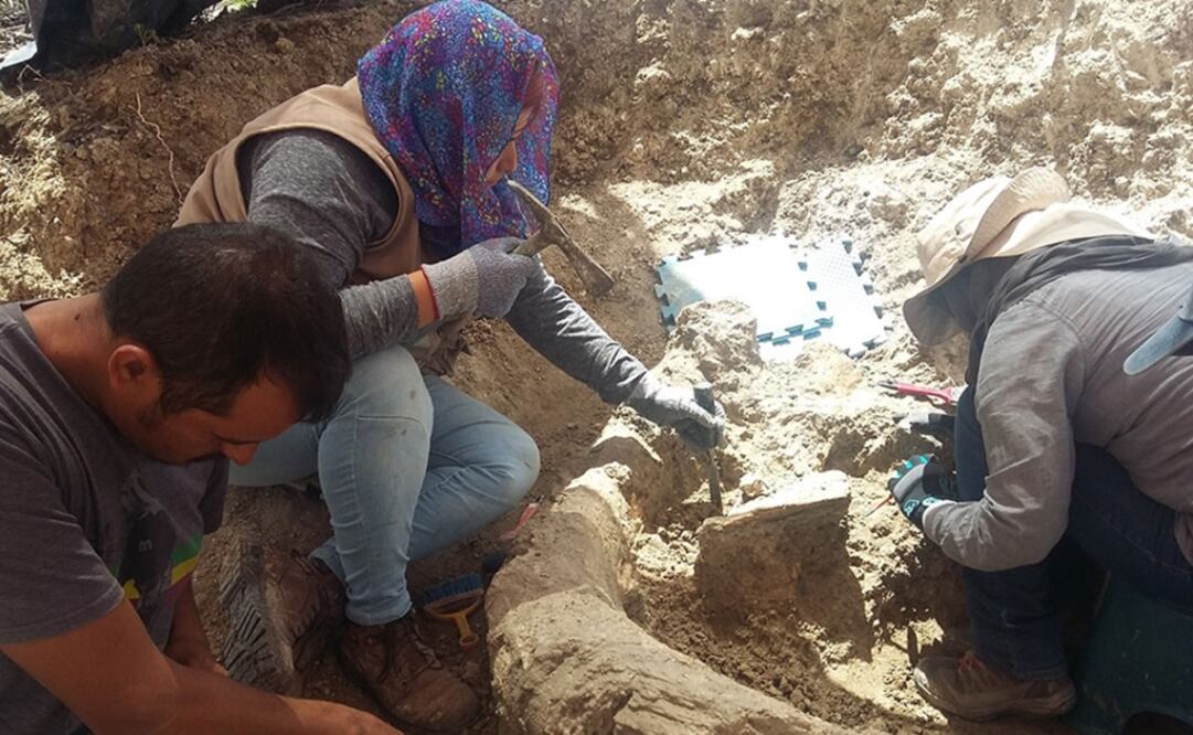 Foto: Cristina Sandoval / INAH