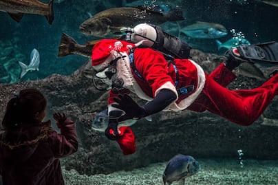 ¿Cuánto cuesta el show de Navidad del Acuario Inbursa?