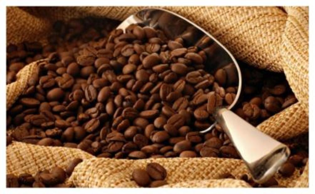 ¡Orgullo mexicano! Conoce estos productos que cuentan con Denominación de Origen mexicana