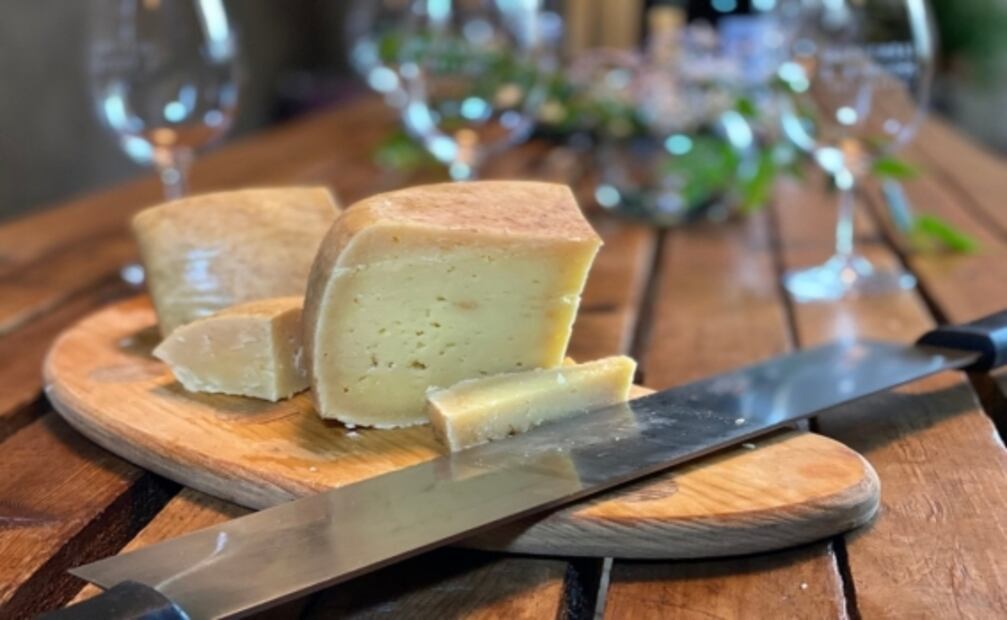 Visita Rancho Santa Marina: queso, vino y vida de campo en Querétaro