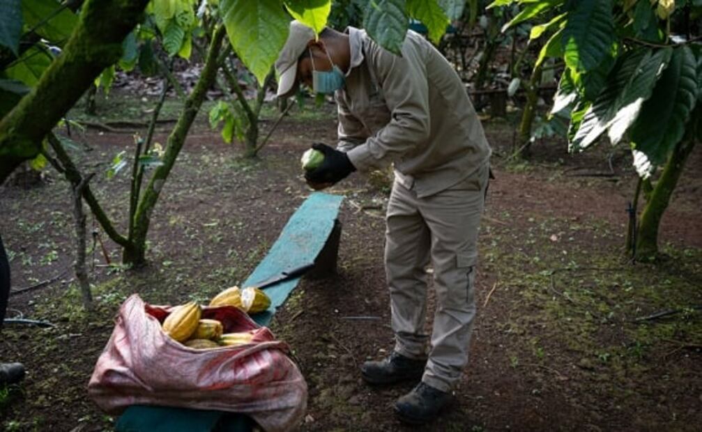 PepsiCo se compromete a promover la seguridad alimentaria para 50 millones de personas en 2030