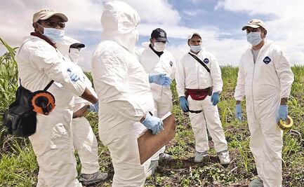 Suspenden búsquedas de fosas y cuerpos en Veracruz por Covid-19