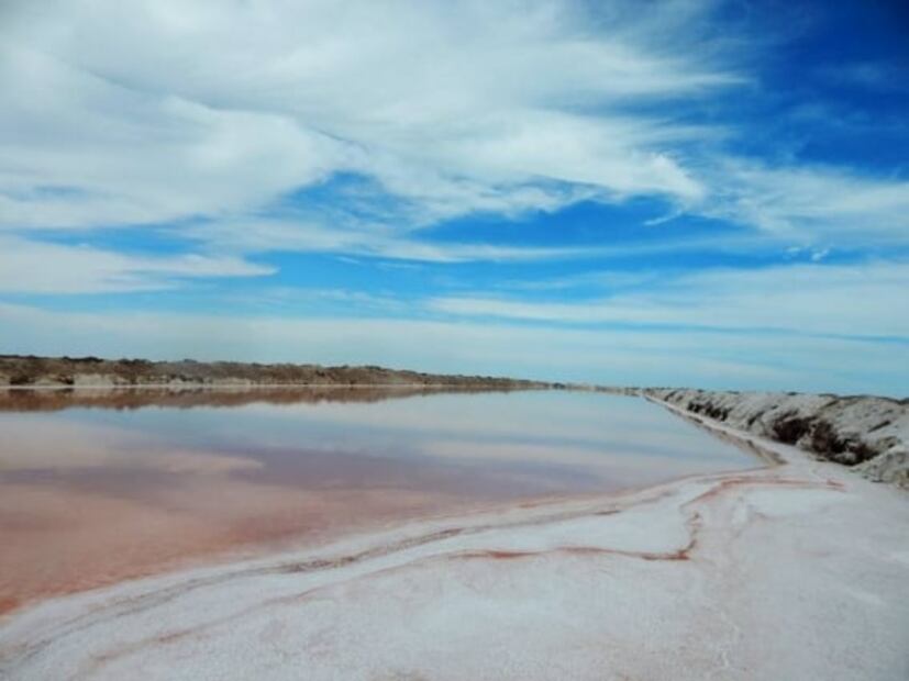 La sal de San Felipe, Baja California, un baluarte gastronómico para el mundo