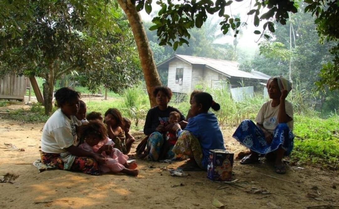 Foto: Niclas Burenhult vía Europa Press