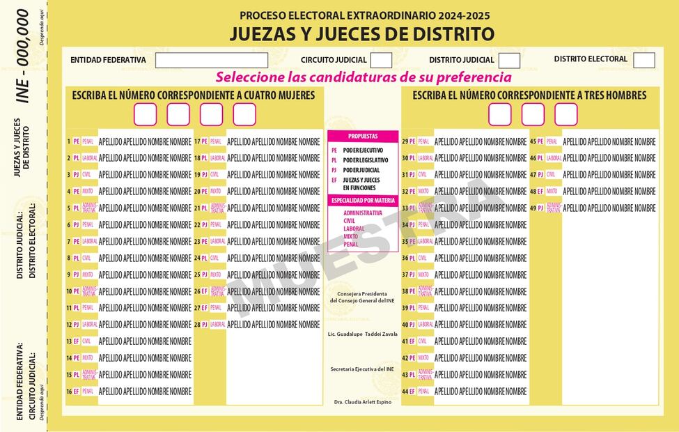 De colores y distintos tamaños, Comisión del INE aprueba boletas para elección judicial; falta voto del Consejo General