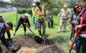 ¡Enchulan la CDMX! Plantarán 5 mil árboles en la Venustiano Carranza