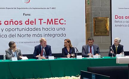 "Enorme ventaja y suerte que en T-MEC se tengan mecanismos para solucionar diferencias": embajador de Canadá