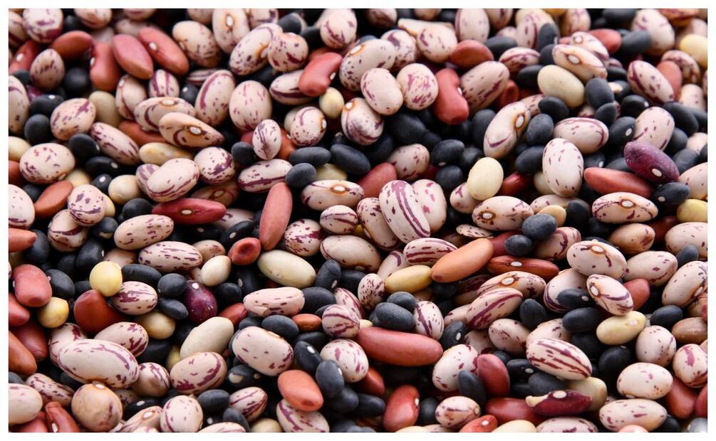Conoce las desventajas de comer frijoles en exceso. Imagen: Unsplash.