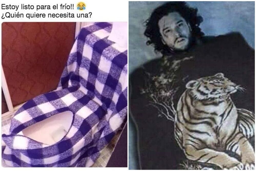 Memes por el frente frío. Foto: Redes sociales