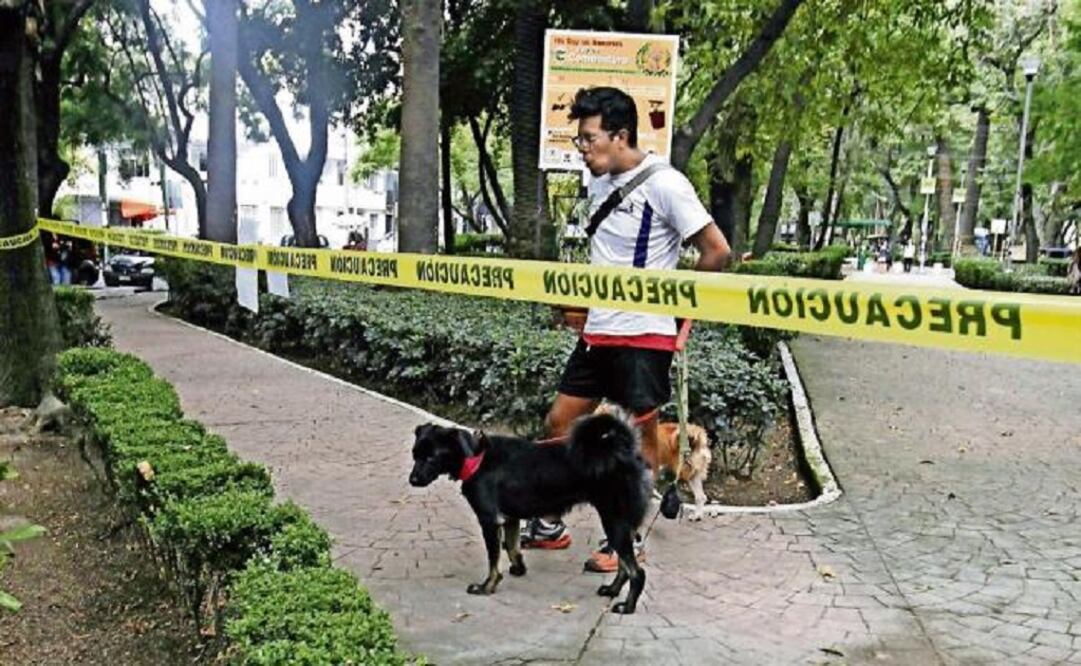 Last Thursday new poisoned bait was found at Parque México. (Photo: Archive/El Universal)