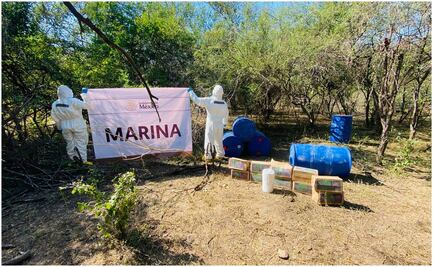 Marina destruye laboratorio clandestino en Sinaloa; asegura precursores químicos para elaboración de drogas sintéticas