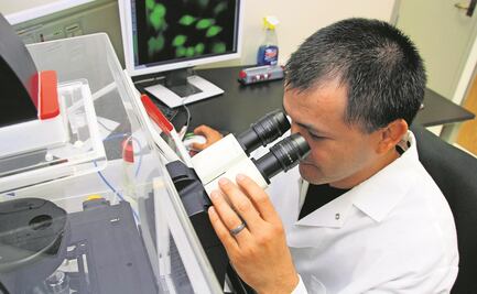 Piden seguir con análisis sobre la Ley de Ciencia