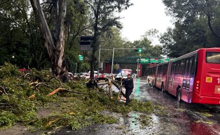 Lluvias del miércoles dejaron 13 encharcamientos, 11 árboles caídos  y tres cortocircuitos en CDMX