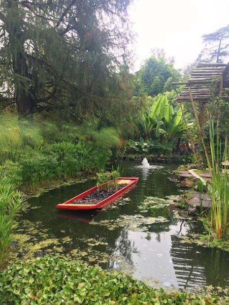 10 actividades fuera de lo común para explorar Chapultepec