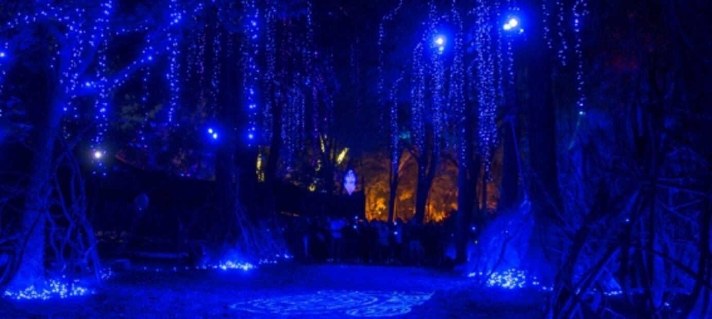 Calaverandia, el parque temático de Día de Muertos