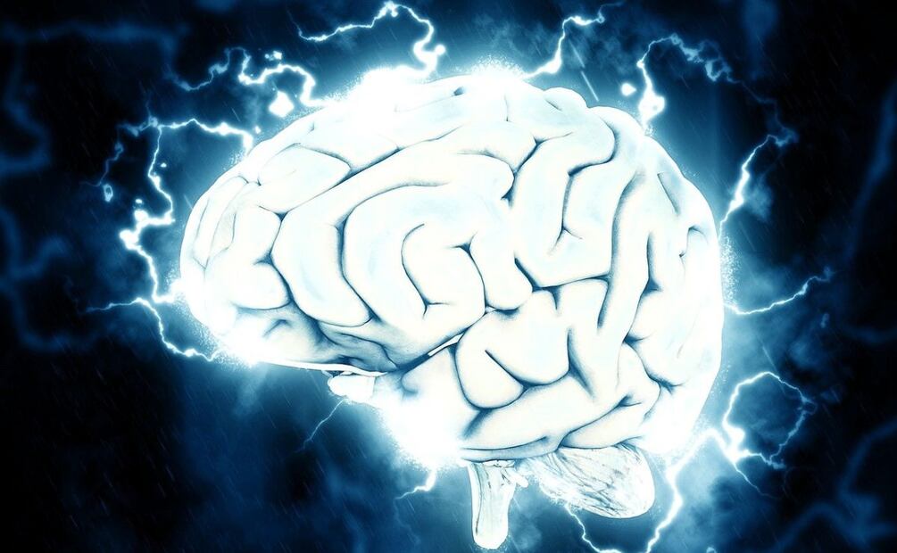 Cerebro. Fuente: Pixabay