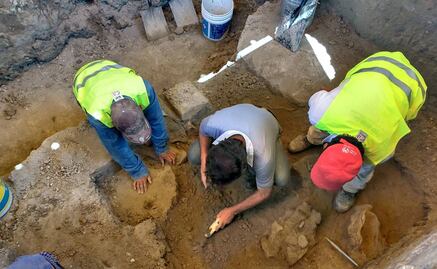 Hallan restos de mamut en Tultepec