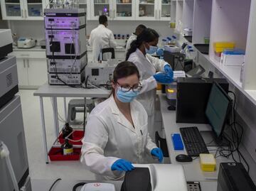 ¿Vacunar sin aguja? Científicos trabajan en parches para vacunar contra el Covid-19