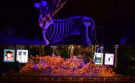 Iluminando Almas, recorrido nocturno en el Bosque de Chapultepec