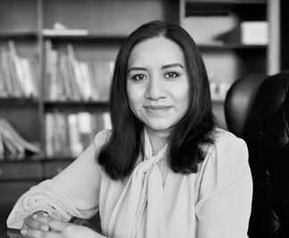 Publican reglas para aspirantes sin partido